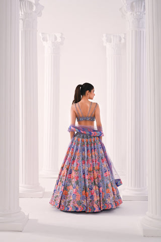 Gulmohar Lehenga