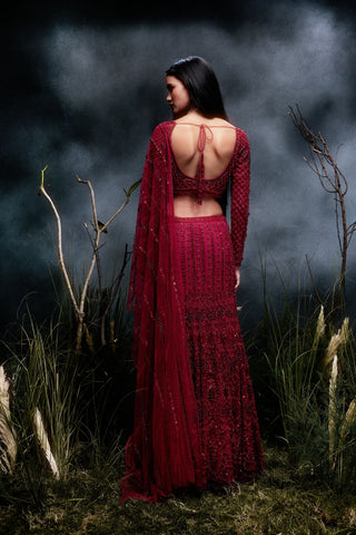 The Nerina Lehenga-Saree
