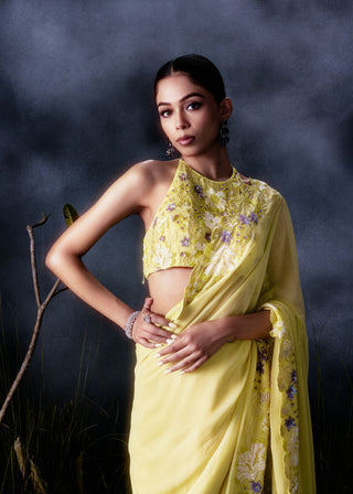 The Mimosa Saree