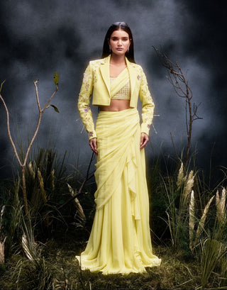 The Virelle Saree Set