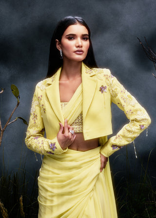 The Virelle Saree Set