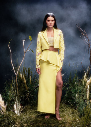The Virelle Saree Set