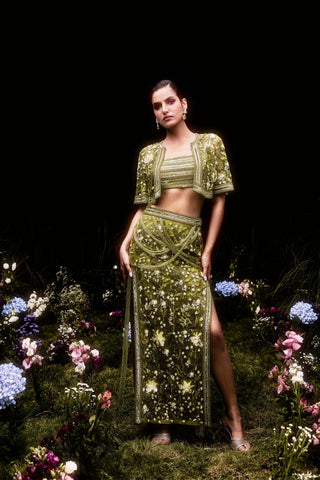 The Rosamund Set
