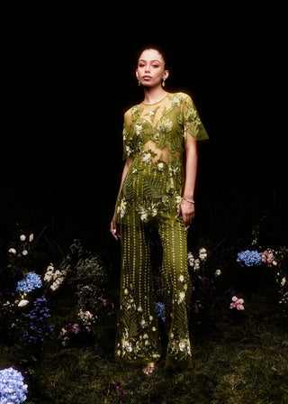 The Amora Set